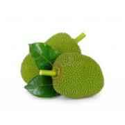 Jackfruit Baby Green
