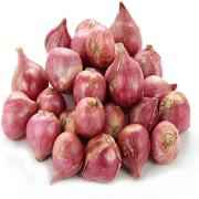 SHALLOTS ONION BAG