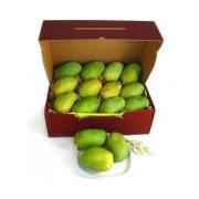 INDIAN MANGO ALPHONSO BOX