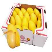 MANGO ATULFO BOX