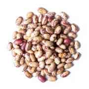 Cranberry Beans