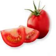Campari Tomato