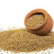 Apna Kodri Kodo Millet