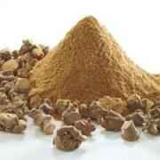Apna Ganthoda Powder