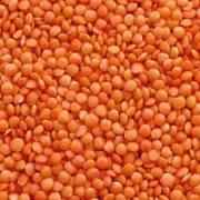 Asli Matka Masoor