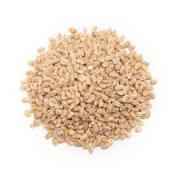 Pot Barley