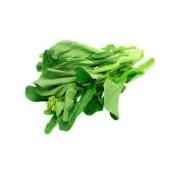 Saag