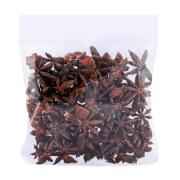 DR STAR ANIS SEEDS