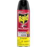 RAID ANT And ROACH