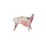LAMB   Whole Baby Lamb