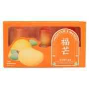 Propitious Mango Ice Cream