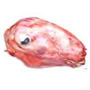 Halal Goat Head