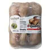 Valleys Quails Spain Jumbo Quail FRZ Halal Jumbo