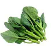 Poi Leaves