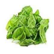 SPINACH Cello Bags