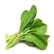 SPINACH BUNCH