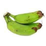 PLANTAIN Small