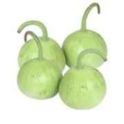 Opo Round Squash