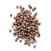 CORIANDER