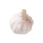 GARLIC SINGLE