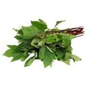 GANGURA LEAVES BOX