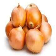 ONION YELLOW