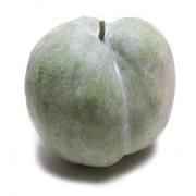 WINTER SQUASH/MELON