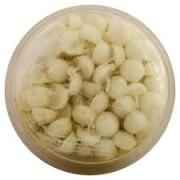CYCLE COW GHEE DIYAS