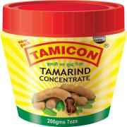 TAMICON CONCENTRA