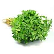 Frozen Methi (Frozen)