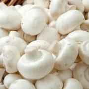 FARMERS FRSH MUSHROOM