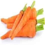 FRESH BABY CARROTS
