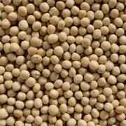DHANRAJYELLOW WHOLE PEAS
