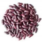 HANS DARK KID BEAN