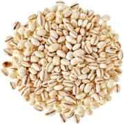 DHAN PEARLED BARLEY