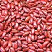HANS KIDNEY BEANS