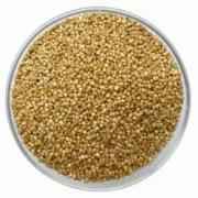 GVALLEY KODO MILLET 2LB