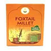 SHAST FOXTAIL MIL FLO