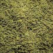 DHANRAJ LUCKNOWI FENNEL