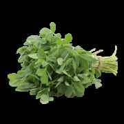 METHI