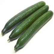 CUCUMBER LARGE