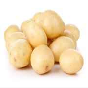 POTATO WHITE SMALL