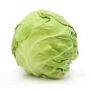 CABBAGE   GREEN