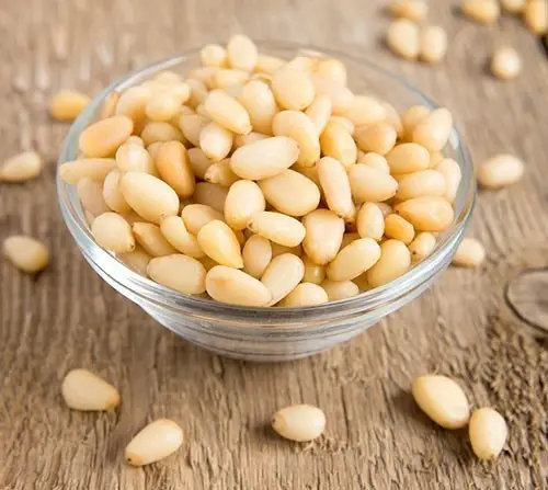 Nirav Pine Nuts