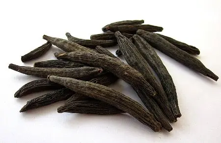 Nirav Marathi Moggu (Indian Capers) Kapok Buds