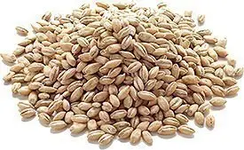 Barley Whole (Pot Barley)