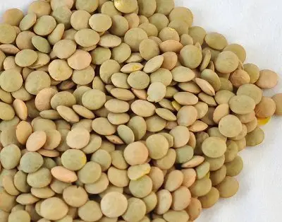 Bansi Green Lentils