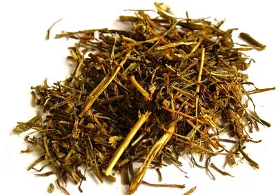 Jimbu   Himalayan Aromatic Herb