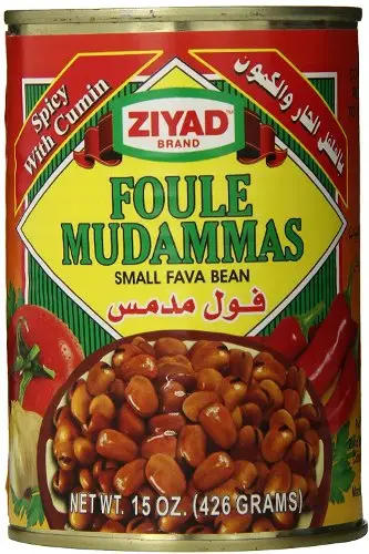 Ziyad Foule Madammas   Small Fava Beans Can   Spicy With Cumin
