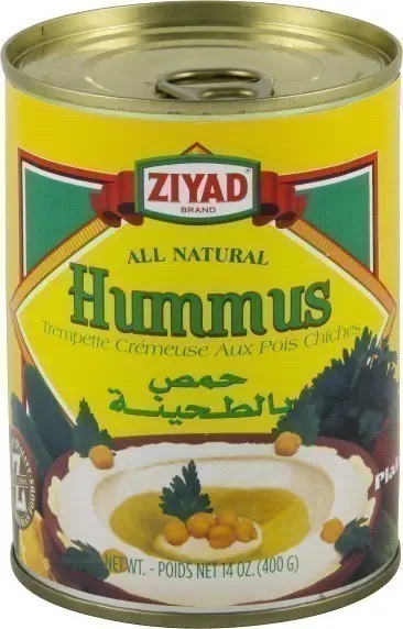 Ziyad Hummus   Plain